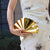 Solid Color Fan-Shaped Mini Clutch with Shiny Finish