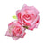Beautiful Feminine Flair Double Rose Flower Hair Clips