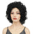 Bouncy Curly & Fluffy Wigs for Women’s Stylish Makeover