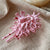Sea Breeze-Inspired Conch Hair Claw Clips for Women