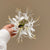Women's Artificial Spider Lily Flower with Slender Petals Hair Clips