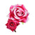 Beautiful Feminine Flair Double Rose Flower Hair Clips