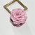 Beautiful Fabric Rose Flower Hair Claw Clips for Women