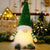 Christmas Decoration Whimsical Gnome Glowing LED Lights