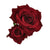 Beautiful Feminine Flair Double Rose Flower Hair Clips