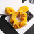 Velvet Bow Knot Design Elastic Hair Tie Scrunchies