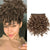 Ready-to-Wear Short Kinky Curly Bangs Clip-In Hair Extension