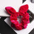 Velvet Bow Knot Design Elastic Hair Tie Scrunchies