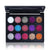 15 Color Glitter Eye Shadow Professional Makeup Palette