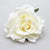 Beautiful Feminine Flair Double Rose Flower Hair Clips