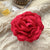 Summer Colored Rose Flower Hair Claw Clips for Women