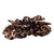 Fierce Fashion Leopard Print Hair Claw Clips for Everyday Style