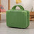 Portable Mini Travel Suitcase Hand Luggage Cosmetic Bags