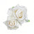 Beautiful Feminine Flair Double Rose Flower Hair Clips