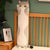 Irresistibly Cute and Cuddly Long Plush Cat Toy Perfect for All Ages