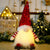 Christmas Decoration Whimsical Gnome Glowing LED Lights