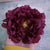 Bright-Colored Big Artificial Tropical Flower Hair Clip Barrette