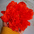 Bright-Colored Big Artificial Tropical Flower Hair Clip Barrette