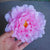 Bright-Colored Big Artificial Tropical Flower Hair Clip Barrette