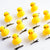 10 Pcs Cute and Adorable Duck Hair Clips Set