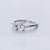 12 Constellation Zodiac Sign Zircon Rings