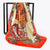 Bright Colored Soft and Silky Floral Shawl Scarf Collection