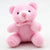 Cute Little Soft Teddy Bear Plush Key Chain