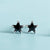 Cute and Minimalist Star Stud Earrings with Sparkling Zircon