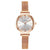 Light and Thin Strap Minimalist Stick Dial Wristwatch for Women