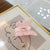 Pastel Color Summer Fashion Transparent Butterfly Hair Claws Collection