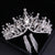 Rhinestone Studded Bridal Fashion Crown with Tassel Earrings Jewelry Set
