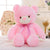 Soft and Cuddly Light Up Teddy Bear Gift